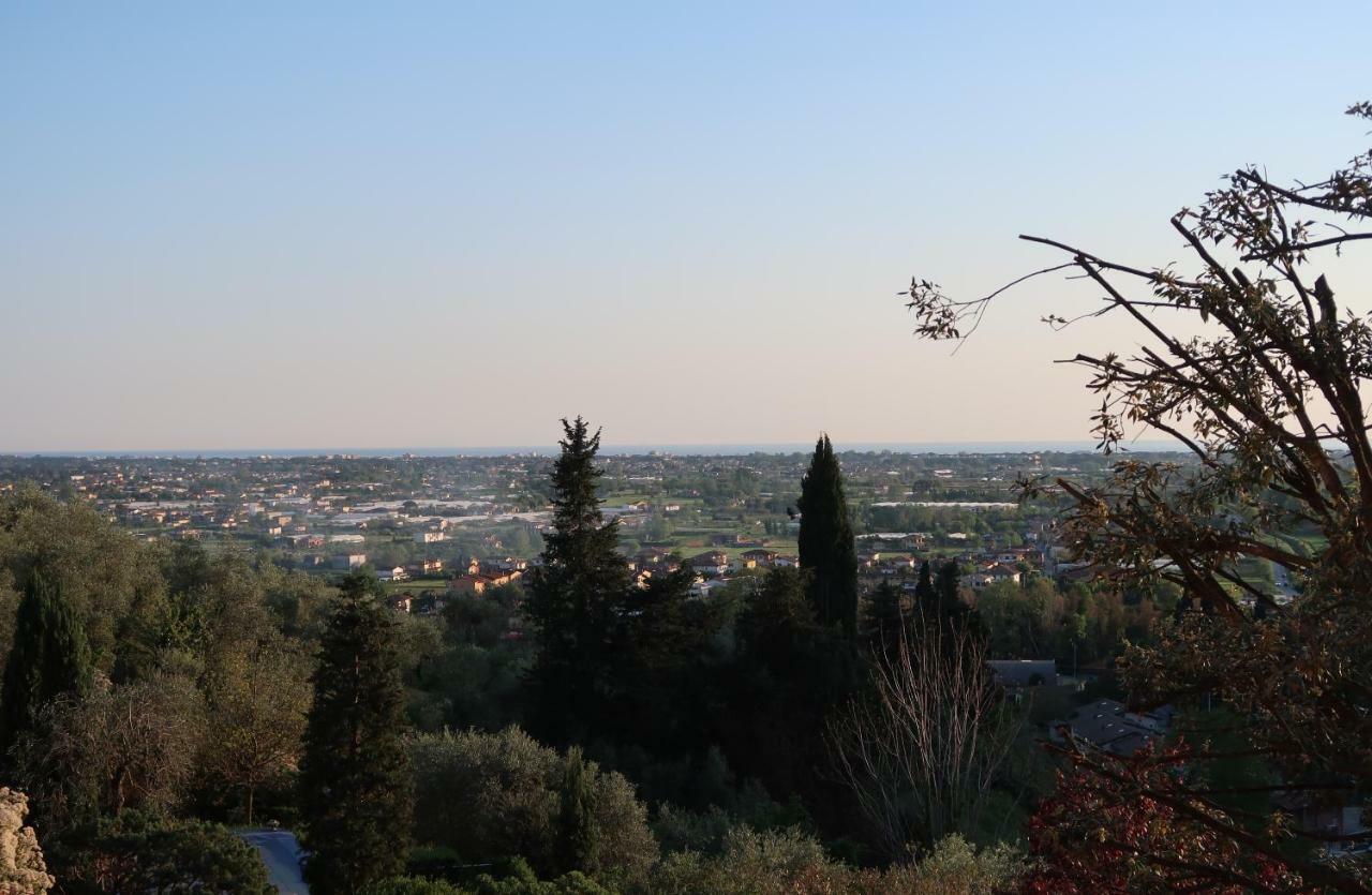 Casa del Geco - la natura intorno a te Camaiore Exterior foto